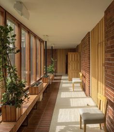 the sun shines through windows onto a long hallway with benches and potted plants