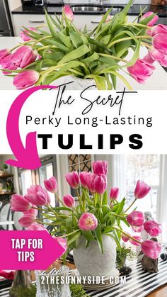 pink tulips in a vase with text overlay that says the secret perky long -lasing tulips