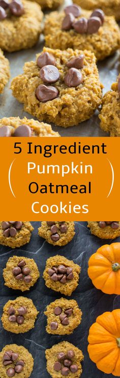 pumpkin oatmeal cookies with chocolate chips on top and the words 5 ingredient pumpkin oatmeal cookies