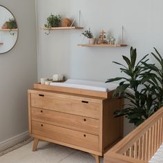 a wooden dresser sitting next to a plant in a room with two mirrors on the wall