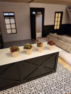 three potted plants sitting on top of a counter in front of a living room