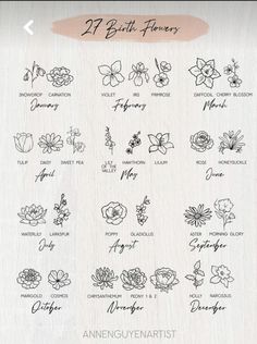 the flowers and their names are drawn in black ink