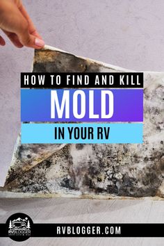 how to find and kill mold in your rv