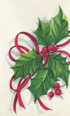 a drawing of holly with red ribbon and bow on white paper, christmas card design