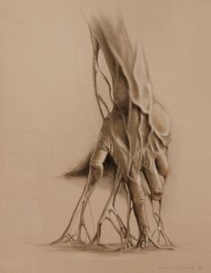 a pencil drawing of a hand reaching for something on the ground with it's fingers