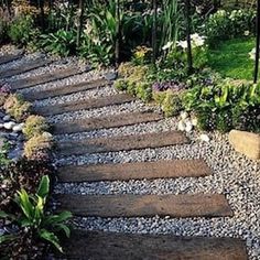 an image of a stone path in the garden