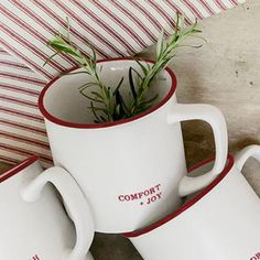 three coffee mugs with plants in them sitting on a striped tableclothed surface