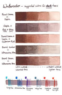 watercolor swatches with different shades and colors for each type of paint, including dark brown