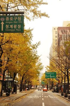 an empty street in the middle of a city with tall buildings and trees lining both sides