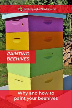 a beehive with the words painting bees why and how to paint your hives