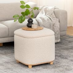 a living room with a couch, ottoman and potted plant