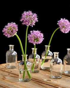 purple flowers are in small glass vases on a wooden table