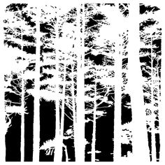 a black and white image of trees with no leaves in the woods, on a white background