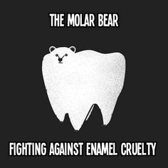 :D Dentist Tattoo, Bear Puns, Dental Quotes, Animal Puns, Family Dental, Dental Humor