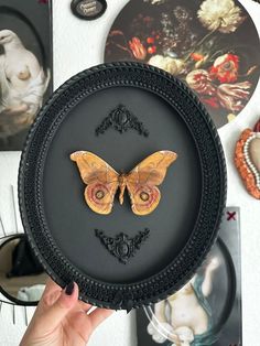 a person holding up a black plate with a butterfly on it's side and several pictures behind it