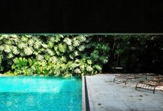 an empty swimming pool surrounded by lush vegetation