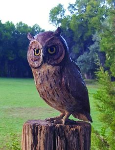 Star Liana York-Owlette-Sorrel Sky Gallery-Sculpture Life Size Sculpture, Western Sculpture, Corning Ny, Santa Fe Art, Garden Owl, Chainsaw Carving, Southwest Art, Santa Fe Nm, Sculpture Painting