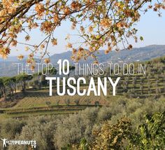 the top 10 things to do in tuscany