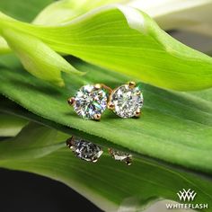 two diamond earrings sitting on top of a green leaf