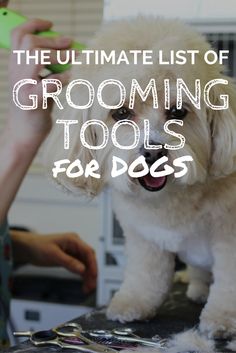 the ultimate list of grooming tools for dogs