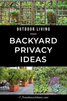 backyard privacy ideas that are easy to do in the back yard and garden area, with text overlay