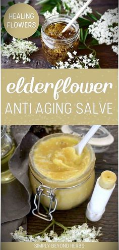 Elderflower Anti-Aging Salve: Healing Flowers Homemade Salve Recipes, Herbalism Recipes, Body Care Recipes, Healing Flowers, Healing Salves