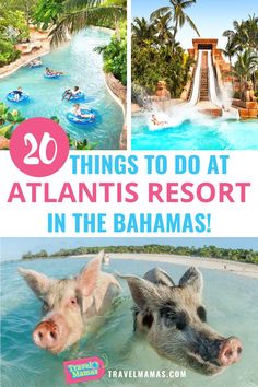 10 Things to Do at Atlantis Resort in The Bahamas! Atlantis Resort