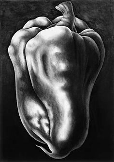 a black and white drawing of a bell pepper