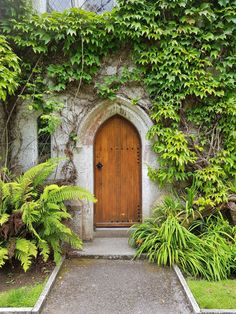 an old building with a wooden door surrounded by greenery