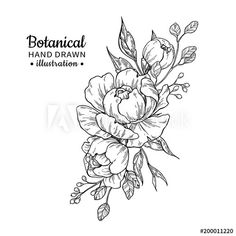 black and white drawing of flowers on a white background with the words botanical hand drawn illustration