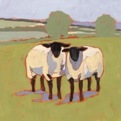 two black and white sheep standing next to each other