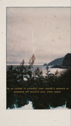 a polaroid photograph of the ocean with trees and mountains in the background at dusk