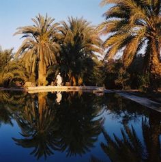 palm trees are reflected in the water near a pool with a man standing next to it