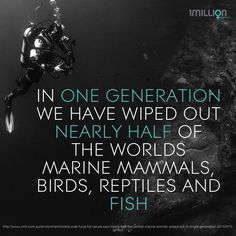 a scuba diver with the words in one generation we have wiped out nearly half of the world's marine mammals, birds, reptiles and fish