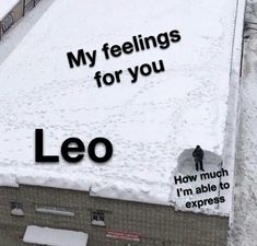 an aerial view of a building with snow on it and the words leo written in black