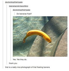 an image of a banana floating in the water with caption above it that reads, do bananas float? yes, yes, they do