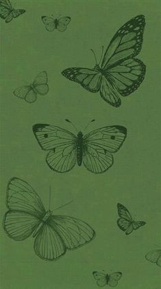 several butterflies flying in the air on a green background with space for text or image