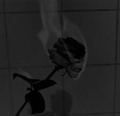 a black and white photo of a single rose in a vase on a tiled wall