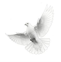 a drawing of a white dove flying in the air