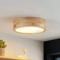 a light that is on the ceiling above a shelf with some plants in front of it