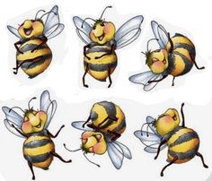 four pictures of bees with different expressions on their faces and body, one is yellow and the other is black