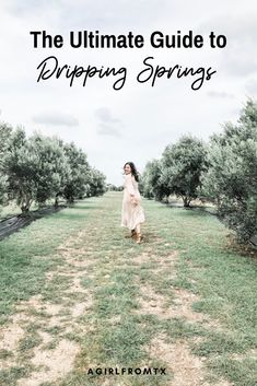 the ultimate guide to prepping spring's in an orchard field with text overlay