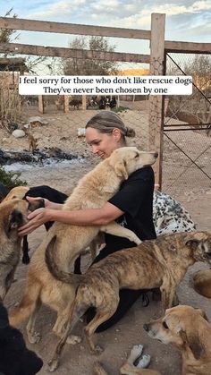 a woman sitting on the ground with several dogs in front of her and an inscription that reads, i feel sorry for those who don't like rescue dogs