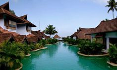 an outdoor swimming pool surrounded by palm trees and other greenery next to the beach