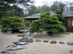 a small garden with rocks and trees in it