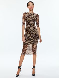 Delora Crew Neck Mesh Midi Dress In Spotted Leopard Dark Tan Leopard Print Knee-length Dress For Date Night, Knee-length Leopard Print Dress For Date Night, Leopard Print Midi Dress For Date Night, Fitted Leopard Print Midi Dress, Fitted Leopard Print Midi Dress For Date Night, Leopard Print Stretch Midi Dress, Stretch Leopard Print Midi Dress, Spring Leopard Print Knee-length Midi Dress, Chic Leopard Print Knee-length Midi Dress