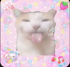 a white cat sticking its tongue out in front of a pink frame with stars and rainbows