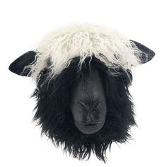 a black and white sheep's head is shown with shaggy hair on it, against a white background