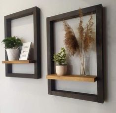 two wooden shelves with plants and books on them