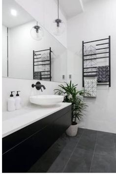 a bathroom with two sinks and a plant in the corner on the counter next to it